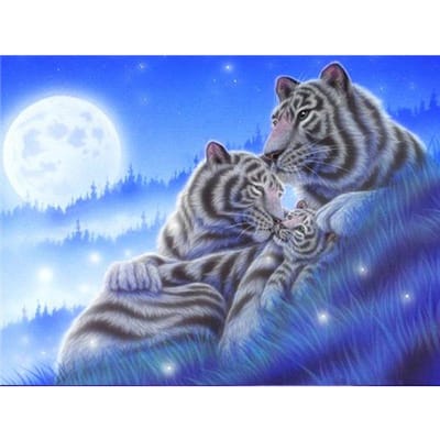 5D DIY Diamond Painting  Dierlijke tijger  3D Borduurkruissteek 5D Home Decor 20X30CM blue