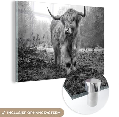 MuchoWow® Glasschilderij 120x80 cm - Schilderij acrylglas - Schotse Hooglander - Bos - Mist - Koe - Dieren - Natuur - Foto op glas - Schilderijen