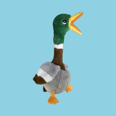 Kong - Shakers Honkers Eend