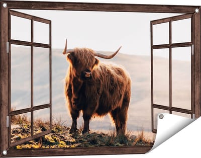 Gards Tuinposter Doorkijk Schotse Hooglander in de Heuvels van Schotland - 90x60 cm - Tuindoek - Tuindecoratie - Wanddecoratie buiten - Tuinschilderij