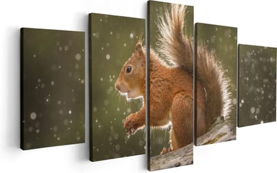 Artaza Canvas Schilderij Vijfluik Eekhoorn in de Regen - 100x50 - Foto Op Canvas - Canvas Print