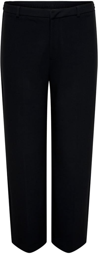 ONLY CARMAKOMA - CARNYRA LIFE HW STRAIGHT PANT CC TLR - Meisjes - Leggings