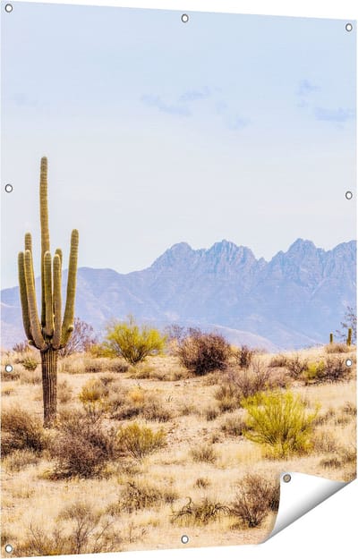 Gards Tuinposter Cactussen in de Woestijn - 90x120 cm - Tuindoek - Tuindecoratie - Wanddecoratie buiten - Tuinschilderij