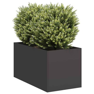 vidaXL - Plantenbak - 40x80x40 - cm - koudgewalst - staal - zwart