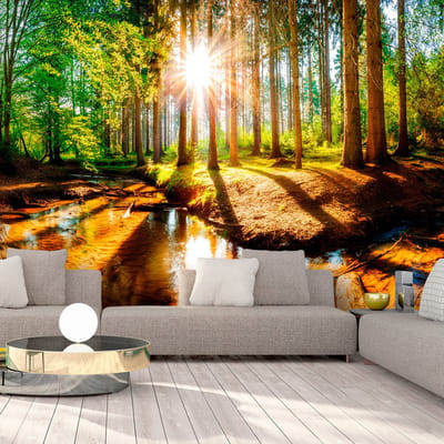 98cm X 70cm - Zelfklevend fotobehang -  Geweldig bos  , Premium Print