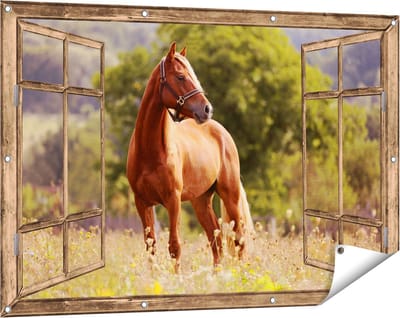 Gards Tuinposter Doorkijk Bruin Paard in de Wei - 120x80 cm - Tuindoek - Tuindecoratie - Wanddecoratie buiten - Tuinschilderij
