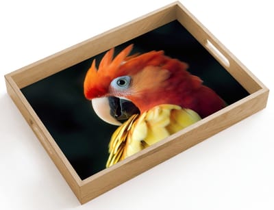 Dienblad hout 40x30 cm - Schootdienblad - Close-up - Papegaai - Veren - Oranje - Borrelplank rechthoek - Plateau dienbladen