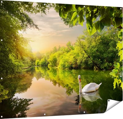 Gards Tuinposter Zwaan op het Water in het Bos - 150x120 cm - Tuindoek - Tuindecoratie - Wanddecoratie buiten - Tuinschilderij
