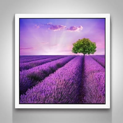 Peinture diamant 5D à faire soi-même, lavande, point de croix, strass, mosaïque, décoration de la maison 30X30CM purple