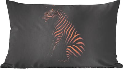 Sierkussens - Kussentjes Woonkamer - 60x40 cm - Zebra - Strepen - Goud