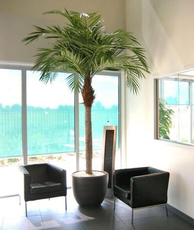 Majesty Giant kunstpalm 350cm