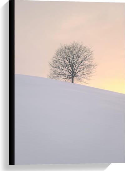 Canvas  - Boom achter een Berg Sneeuw  - 40x60cm Foto op Canvas Schilderij (Wanddecoratie op Canvas)