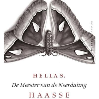 De Meester Van De Neerdaling - Hella S. Haasse