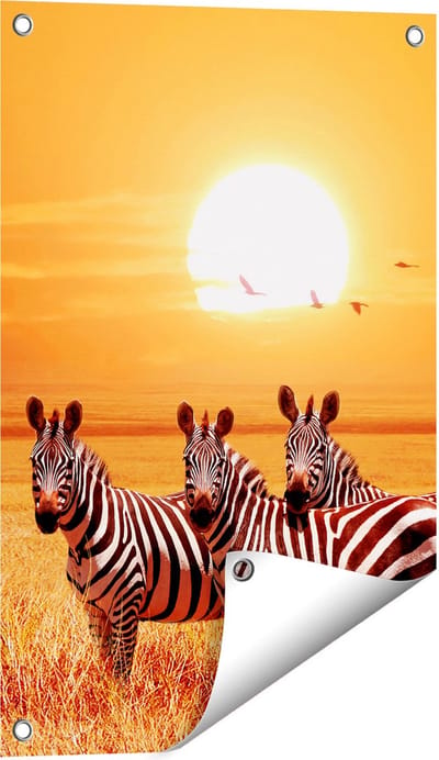 Gards Tuinposter Drie Zebra's bij Zonsondergang - 40x60 cm - Tuindoek - Tuindecoratie - Wanddecoratie buiten - Tuinschilderij
