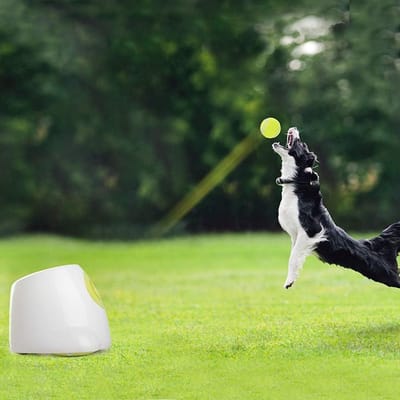 Automatisch interactief balwerpspeelgoed voor honden, tennisspel voor hondentraining, 3 ballen inbegrepen (mini-stijl) met Europese adapter