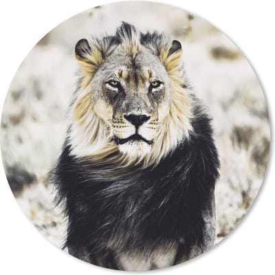 Muismat rond 20x20 cm - Mousepad Wilde dieren - Leeuw - Zwart - Ronde muismatten