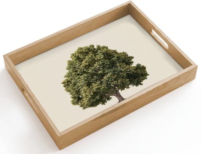 Dienblad hout 40x30 cm - Schootdienblad - Eikenboom - Groen - Lichte achtergrond - Borrelplank rechthoek - Plateau dienbladen