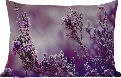 Buitenkussens - Tuin - Lavendel - Winter - Bloemen - Paars - 50x30 cm