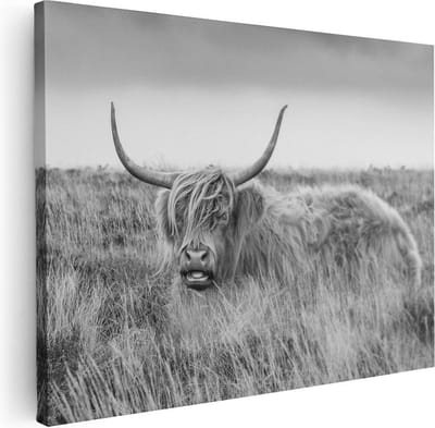 Artaza Canvas Schilderij Hooglander - 40x30 cm - Klein - Muurdecoratie Grasveld - Wanddecoratie Woonkamer - Kamer Accessoires