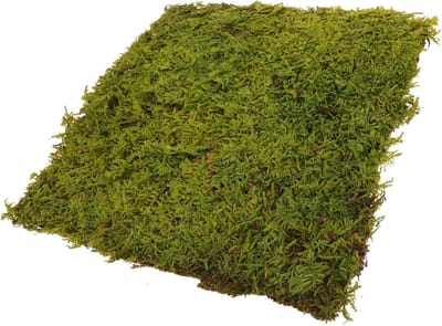 Nep Tapijt Schuim - Kunstgras Mat - Modelbouw Decoratie - Eenvoudig Te Installeren - 30 x 30 cm - Groen