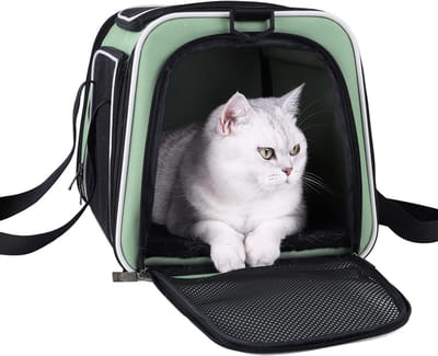 Huisdier Draagtas - Reismand Kat - Veilig Vervoer - Makkelijk Laden - 43 cm Lengte - Munt