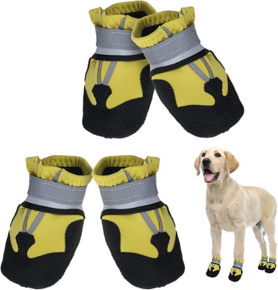 Set van 4 Waterdichte Hondenschoenen met Antislip Zolen en Reflecterende Riemen