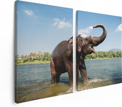 Artaza Canvas Schilderij Tweeluik Vrolijke Olifant In Het Water  - 120x80 - Foto Op Canvas - Canvas Print