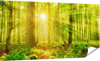 Gards Tuinposter Groen Bos met Schijnende Zonnestralen - 180x90 cm - Tuindoek - Tuindecoratie - Wanddecoratie buiten - Tuinschilderij
