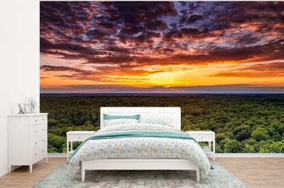 Behang - Fotobehang Bos - Nacht - Lucht - Horizon - Bomen - Breedte 320 cm x hoogte 240 cm