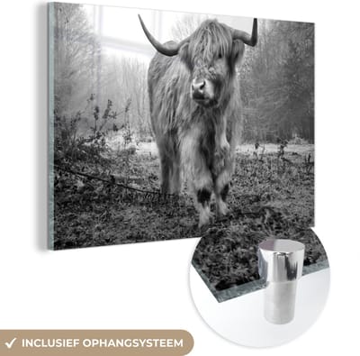 MuchoWow® Glasschilderij 120x80 cm - Schilderij acrylglas - Schotse hooglander - Natuur - Herfst - Dieren - Wild - Bos - Foto op glas - Schilderijen