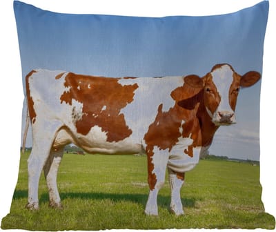 Buitenkussen Weerbestendig - Koeien - Boerderij - Gras- Natuur - Dieren - 50x50 cm