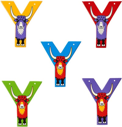 Hoofdletter Y (assorti geleverd)