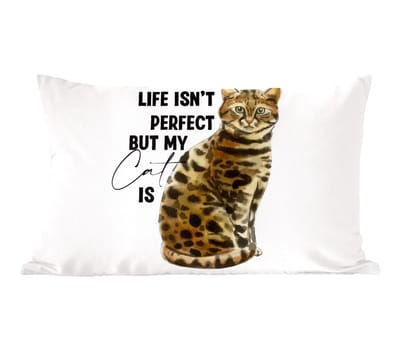 Sierkussens - Kussentjes Woonkamer - 60x40 cm - Katten - Spreuken - Quotes - Life isn't perfect but my cat is