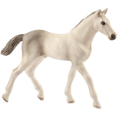 schleich HORSE CLUB - Holsteiner veulen - Kinderspeelgoed voor Jongens en Meisjes - 5 tot 12 jaar - 13860