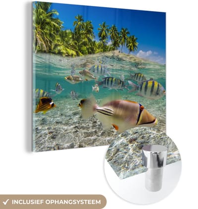 MuchoWow® Glasschilderij 50x50 cm - Schilderij acrylglas - Strand - Vissen - Tropisch - Foto op glas - Muurdecoratie woonkamer - Wanddecoratie slaapkamer - Schilderijen