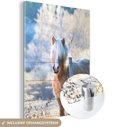 MuchoWow® Glasschilderij 30x40 cm - Schilderij acrylglas - Paard - Winter - Sneeuw - Foto op glas - Schilderijen
