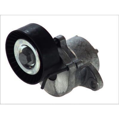 Schaeffler Ina Riemspanner, Poly V-riem INA 534 0439 10