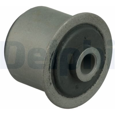 Wielnaafbus  DELPHI TD1632W