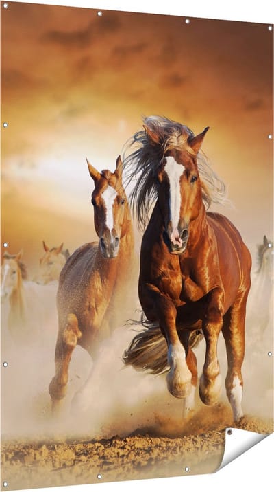 Gards Tuinposter Wilde Paarden in het Zand - 120x180 cm - Tuindoek - Tuindecoratie - Wanddecoratie buiten - Tuinschilderij