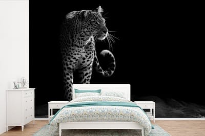 Behang - Fotobehang Wilde dieren - Luipaard - Natuur - Zwart - Wit - Breedte 450 cm x hoogte 300 cm