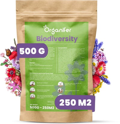 Wildbloemenmengsel - 62 Soorten (500g, 250m2) - Wilde Bloemenzaad Mengsel Meerjaars - Wilde Bloemen - Wilde Bloemen Zaad - Inheemse Bloemenzaden - Veldbloemen Zaad - Bevordert Biodiversiteit - Trekt Vlinders & Bijen - Organifer