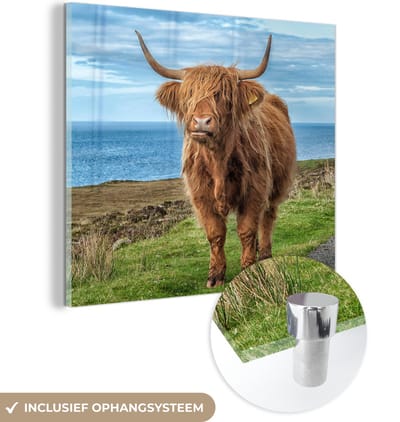 MuchoWow® Glasschilderij 50x50 cm - Schilderij acrylglas - Schotse Hooglander - Water - Horens - Foto op glas - Schilderijen