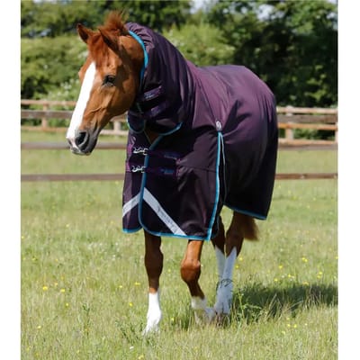 Waterdichte paardendeken met halsbedekking  Premier Equine Buster Storm 100 g