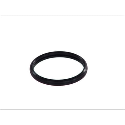 Topran Pakking, thermostaat HANS PRIES 302 262