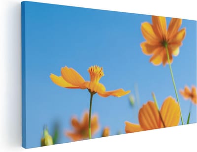 Artaza Canvas Schilderij Bloemen - 40x20 cm - Klein - Wanddecoratie Bloemen - Muurdecoratie Woonkamer - Decoratie Oranje
