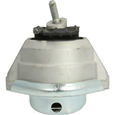 Motorsteun REINHOCH RH11-3050 links