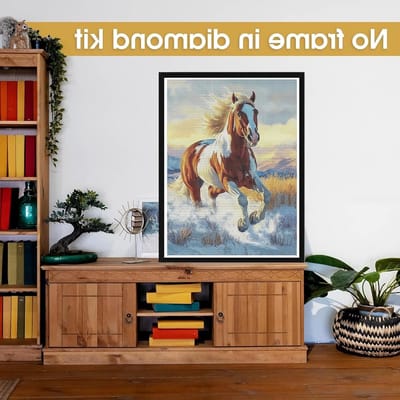 5D Diamant Schilderen Kits Paard, DIY Diamant Schilderen Set Dier, Ronde Steentjes, Crystal Rhinestone Borduren voor Wanddecoratie 30x40cm