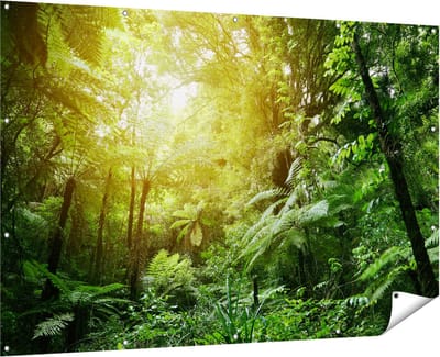 Gards Tuinposter Tropische Jungle met Zonneschijn - 180x120 cm - Tuindoek - Tuindecoratie - Wanddecoratie buiten - Tuinschilderij
