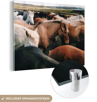 MuchoWow® Glasschilderij 40x30 cm - Schilderij acrylglas - Paarden - Dieren - Wild - Foto op glas - Schilderijen