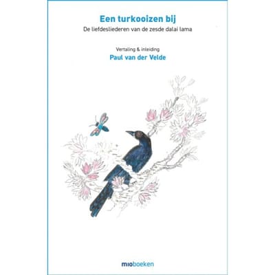 Een Turkooizen Bij